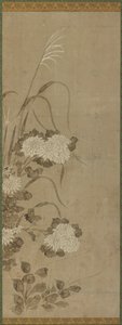 Weiße Chrysanthemen und Gräser