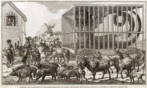 Zoomorphismus - Karikatur gegen Marie-Antoinette - Abgereist vom Harpyien- oder Amphibienmonster von Cadiz, um zum König und zur königlichen Familie von Spanien gebracht zu werden: Dieses Tier wurde an den Ufern des Sees Fagua gefangen - 1784 - von Unknown artist