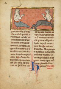 Eine Sirene und ein Zentaur