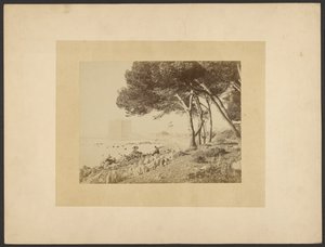 Ansicht der Abtei Lérins, von Cannes aus gesehen von Unknown artist/maker