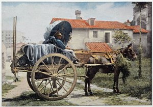 Ein Fuhrmann, der seinen Wein transportiert. Rom, Italien, Ende 19. Jahrhundert
