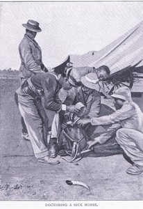 Behandlung eines kranken Pferdes, aus After Pretoria: Der Guerillakrieg, veröffentlicht von Harmsworth Bros Limited von Unknown photographer