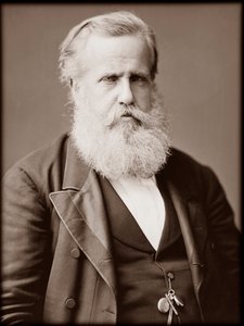 Porträt von Dom Pedro II (Peter II) (Dom Pedro de Alcantara) (1825-1891), Kaiser von Brasilien