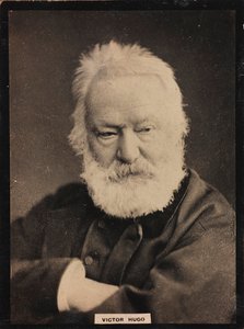 Porträt des französischen Schriftstellers Victor Hugo (1802-1885) von Unknown photographer