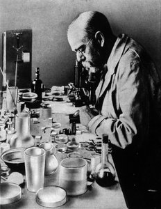 Porträt des deutschen Arztes Robert Koch (1843-1910) in seinem Labor von Unknown photographer
