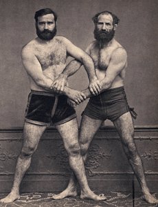 Porträt der Marseille-Brüder im Ringen. Fotografie, Ende des 19. Jahrhunderts, Paris. Sammlung Selva. von Unknown photographer