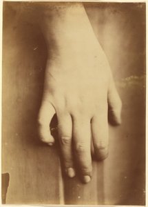 Studie einer Hand, 1865 von Unknown photographer