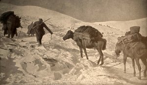 Die französischen und italienischen Positionen haben mehr als 2 Meter Schnee über dem Meeresspiegel von Unknown photographer