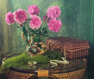 Rosa Pfingstrosen und Andenken von UstinaGreen