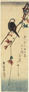 (Vogel auf Ahornzweig), 1830-1858