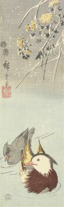 (Chrysantheme und Mandarinenten), Februar 1854
