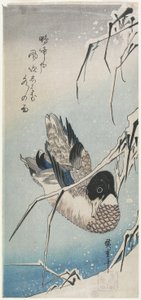 (Ente und schneebedeckte Schilfrohre), frühe 1830er Jahre