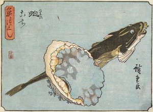 Abalone und Flathead, 1830-1844