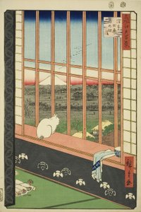 Asakusa-Reisfelder und Torinomachi-Festival (Asakusa tanbo Torinomachi mode), aus der Serie "Hundert berühmte Ansichten von Edo (Meisho Edo hyakkei)" von Utagawa Hiroshige