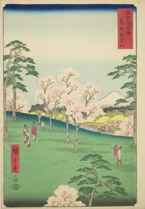 Asuka-Hügel in der östlichen Hauptstadt (Toto Asukayama), aus der Serie "Sechsunddreißig Ansichten des Berges Fuji (Fuji sanjurokkei)"