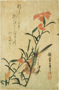 Vogel und wilde Nelke von Utagawa Hiroshige