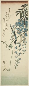 Vogel und Glyzinie von Utagawa Hiroshige