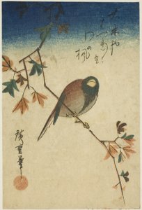 Vogel auf einem Ahornzweig von Utagawa Hiroshige