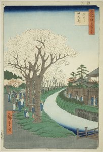 Blüten am Damm des Tama-Flusses (Tamagawa-zutsumi no hana), aus der Serie Einhundert berühmte Ansichten von Edo (Meisho Edo hyakkei)