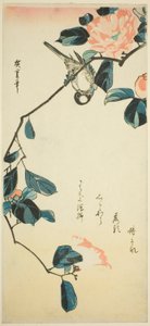 Gimpel auf Kamelienzweig von Utagawa Hiroshige