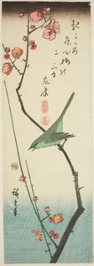 Buschsänger auf einem Pflaumenzweig von Utagawa Hiroshige