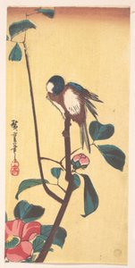 Kamelie und Blaukopf-Vogel von Utagawa Hiroshige