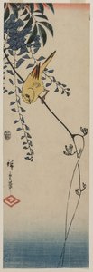 Kanarienvogel und Glyzinie von Utagawa Hiroshige