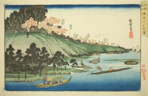 Kirschblüten in voller Blüte entlang des Sumida-Flusses (Sumidagawa hanazakari), aus der Serie "Berühmte Orte in Edo (Koto meisho)"