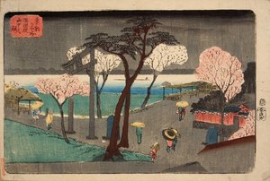 Kirschbäume im Regen am Ufer des Sumida-Flusses