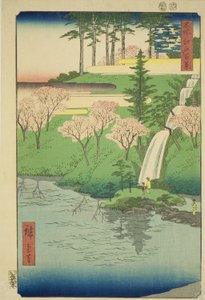 Chiyogaike-Teich, Meguro (Meguro Chiyogaike), aus der Serie "Hundert berühmte Ansichten von Edo (Meisho Edo hyakkei)"