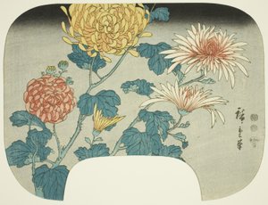 Chrysanthemen
