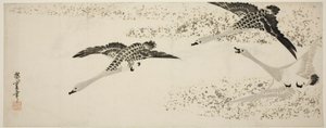 Absteigende Gänse von Utagawa Hiroshige