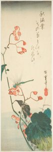 Libelle und Begonie von Utagawa Hiroshige