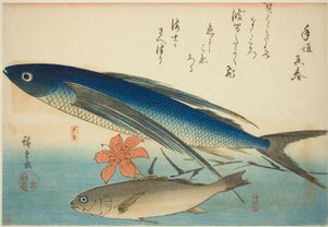 Fliegender Fisch und Ichimochi, aus einer unbetitelten Serie von Fischen