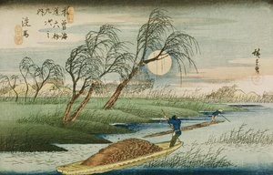 Vollmond bei Seba, aus der Serie 