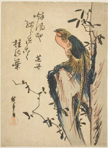 Goldfasan von Utagawa Hiroshige