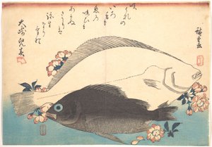 Hirame und Mebaru Fisch mit Kirschblüten, aus der Serie Uozukushi (Jede Fischart) von Utagawa Hiroshige