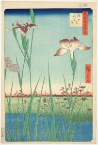 Schwertlilien in Horikiri (Horikiri no hanashobu), aus der Serie "Hundert berühmte Ansichten von Edo (Meisho Edo hyakkei)" von Utagawa Hiroshige