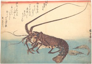 Ise-ebi und Shiba-ebi, aus der Serie Uozukushi (Jede Fischart) von Utagawa Hiroshige