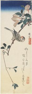 Java-Spatz und Magnolie, 1834-1839 von Utagawa Hiroshige