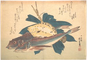 Kanagashira und Karei Fisch, aus der Serie Uozukushi (Jede Fischart) von Utagawa Hiroshige