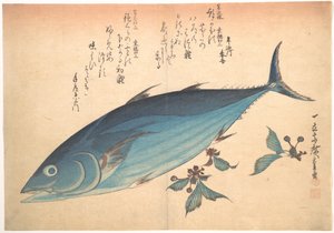 Katsuo-Fisch mit Kirschknospen, aus der Serie Uozukushi (Jede Fischart) von Utagawa Hiroshige