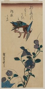 Eisvogel und Chinesische Glockenblumen von Utagawa Hiroshige