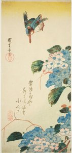 Eisvogel und Hortensie von Utagawa Hiroshige