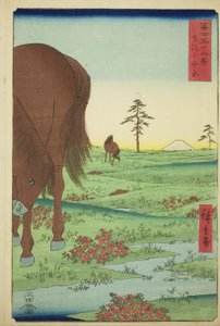 Kogane-Ebene in der Provinz Shimosa (Shimosa Koganehara), aus der Serie "Sechsunddreißig Ansichten des Berges Fuji (Fuji sanjurokkei)" von Utagawa Hiroshige