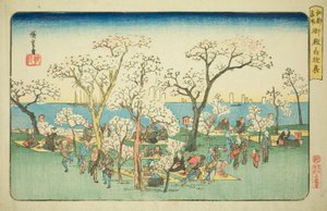 Feiern am Goten-Hügel, aus der Serie "Berühmte Orte in Edo"