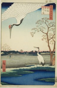 Minowa, Kanasugi, Mikawashima, aus der Serie „Hundert berühmte Ansichten von Edo (Meisho Edo hyakkei)“ von Utagawa Hiroshige
