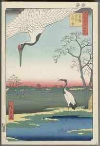 Minowa, Kanasugi und Mikawashima