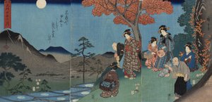 Mond spiegelt sich in den Reisfeldern bei Sarashina in der Provinz Shinano von Utagawa Hiroshige