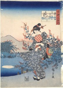 Noji: Sechs Tama-Flüsse